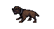Guard Dog